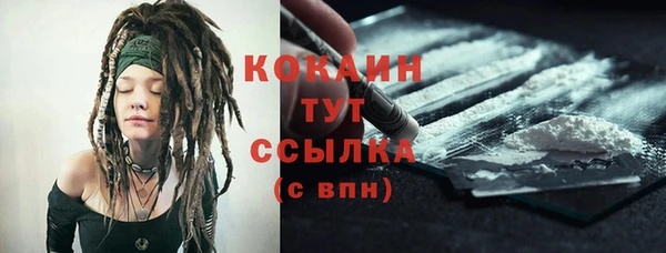ГАЛЛЮЦИНОГЕННЫЕ ГРИБЫ Вязники