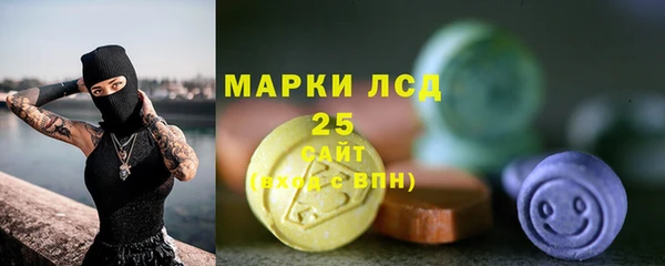 ГАЛЛЮЦИНОГЕННЫЕ ГРИБЫ Вязники