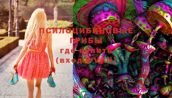 ГАЛЛЮЦИНОГЕННЫЕ ГРИБЫ Вязьма