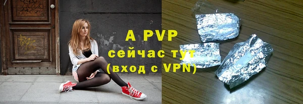ГАЛЛЮЦИНОГЕННЫЕ ГРИБЫ Вязники