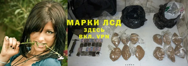 ГАЛЛЮЦИНОГЕННЫЕ ГРИБЫ Вязьма